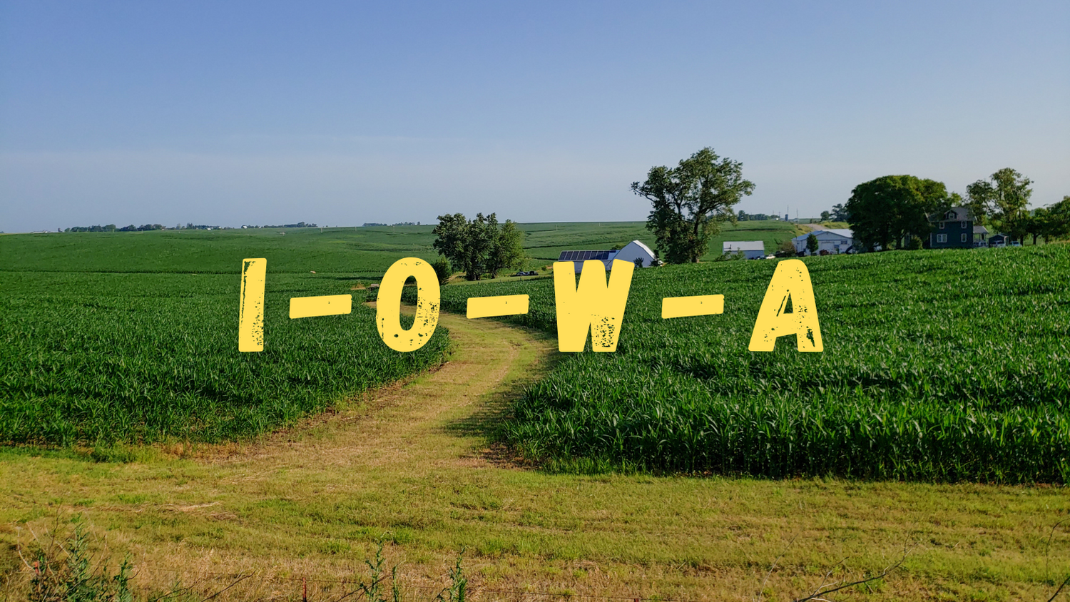 Iowa Shirt Design Collection Banner Image